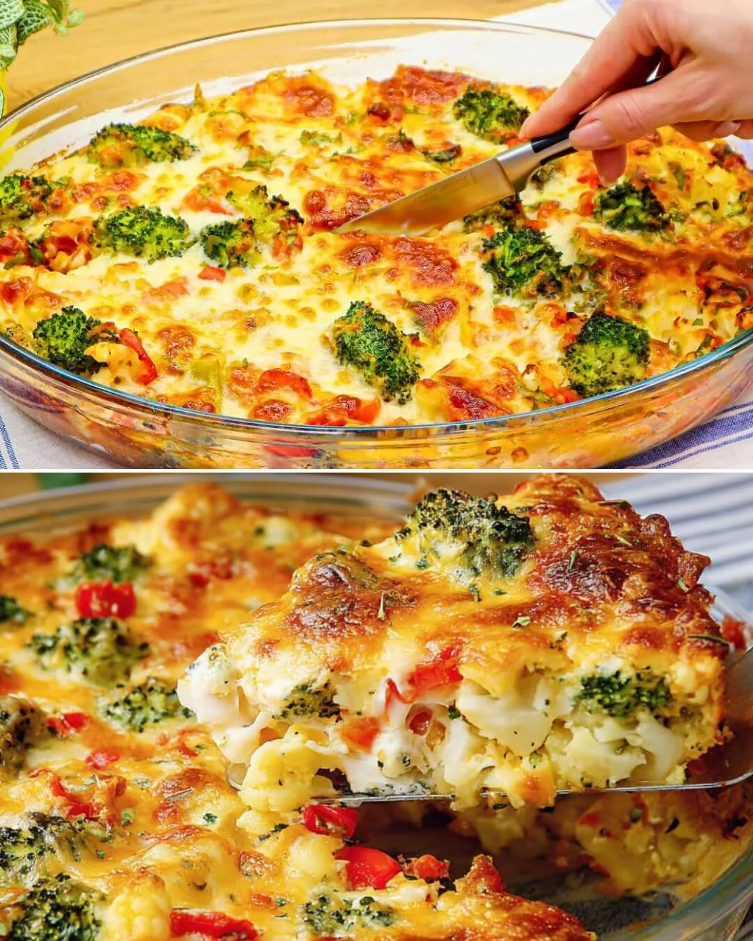 Deliziosa Brokkoli und Blumenkohlcasserole frisch aus dem Ofen serviert.
