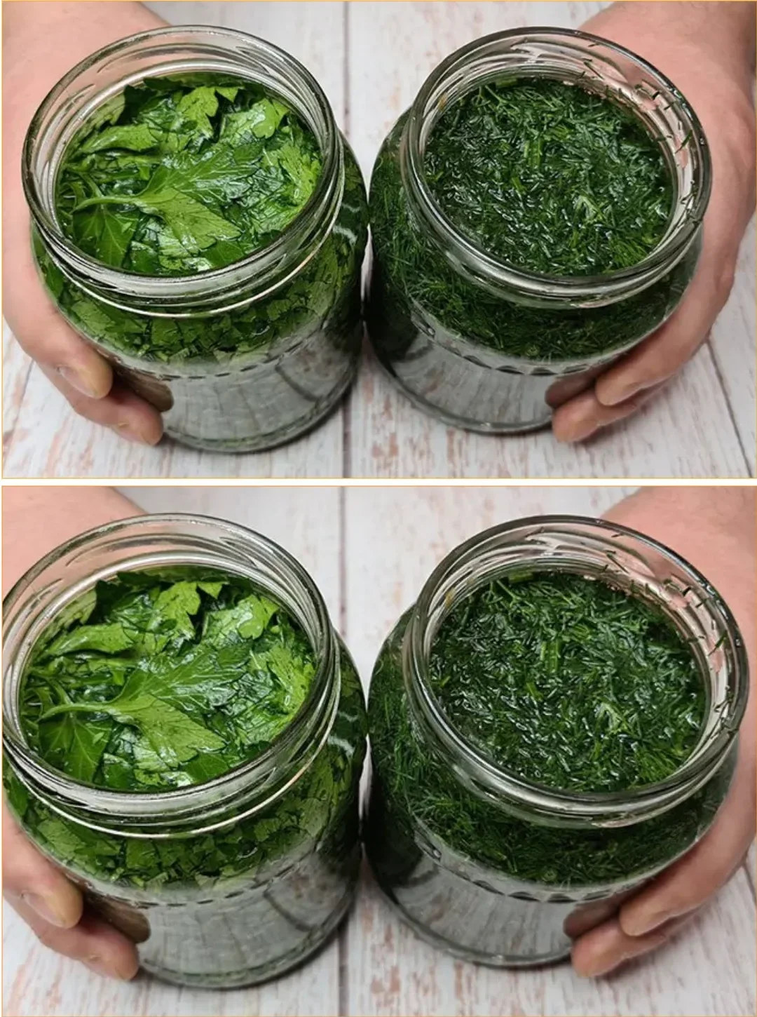 Eingelegte Kräuter in einem Glas mit Gewürzen und frischen Zutaten