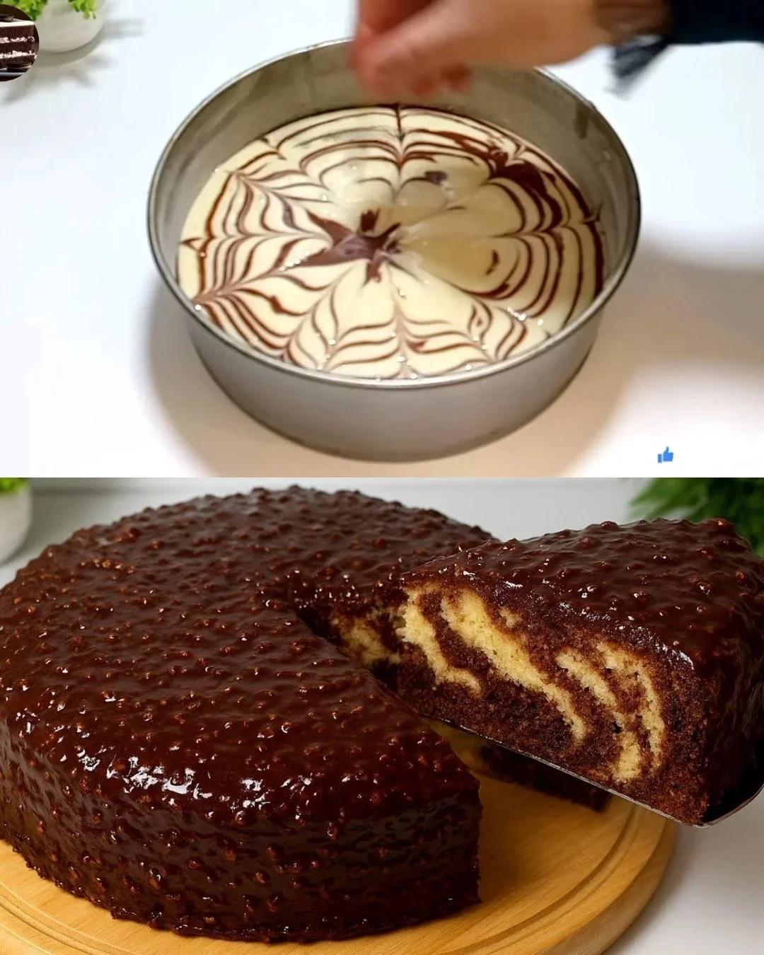Schokoladen-Erdnuss-Kuchen mit karamellisierten Erdnüssen und Schokoladenglasur