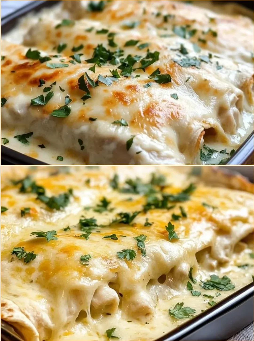 Weiße Hühnchen-Enchiladas auf einem Teller serviert mit frischen Kräutern.