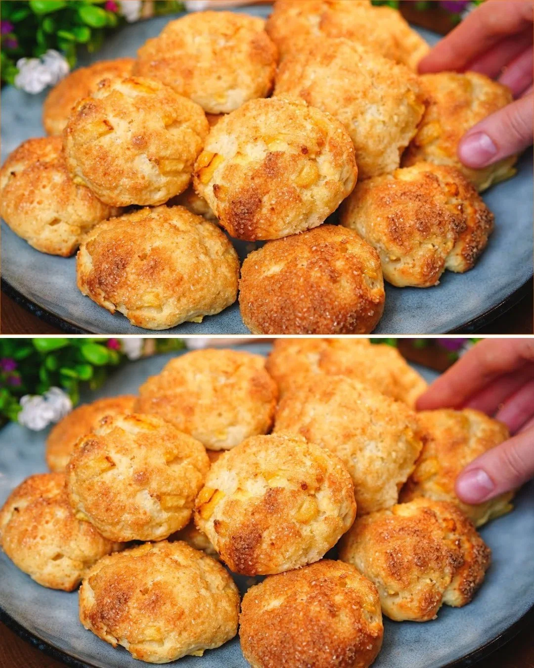 Hausgemachte Frühstücksbrötchen mit Hüttenkäse und Äpfeln auf einem Teller