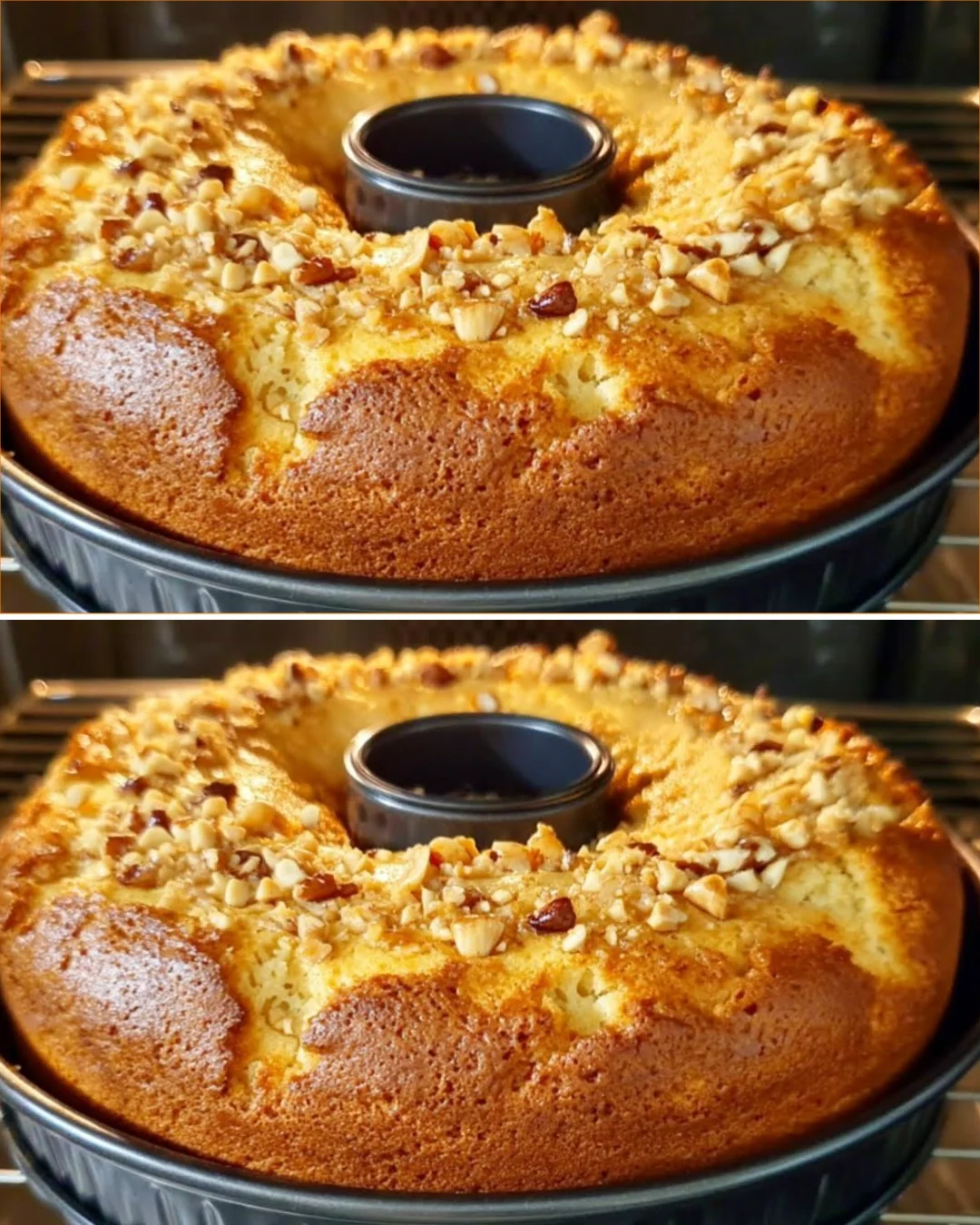 Ein saftiger Orange Cake, perfekt zum Genießen und Teilen.
