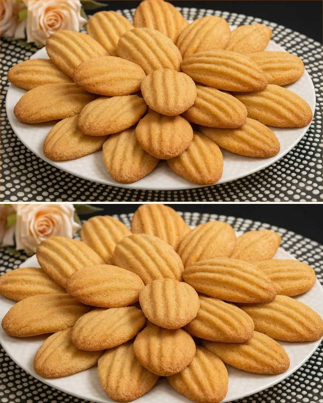 Kekse, die im Mund schmelzen, frisch gebacken und lecker