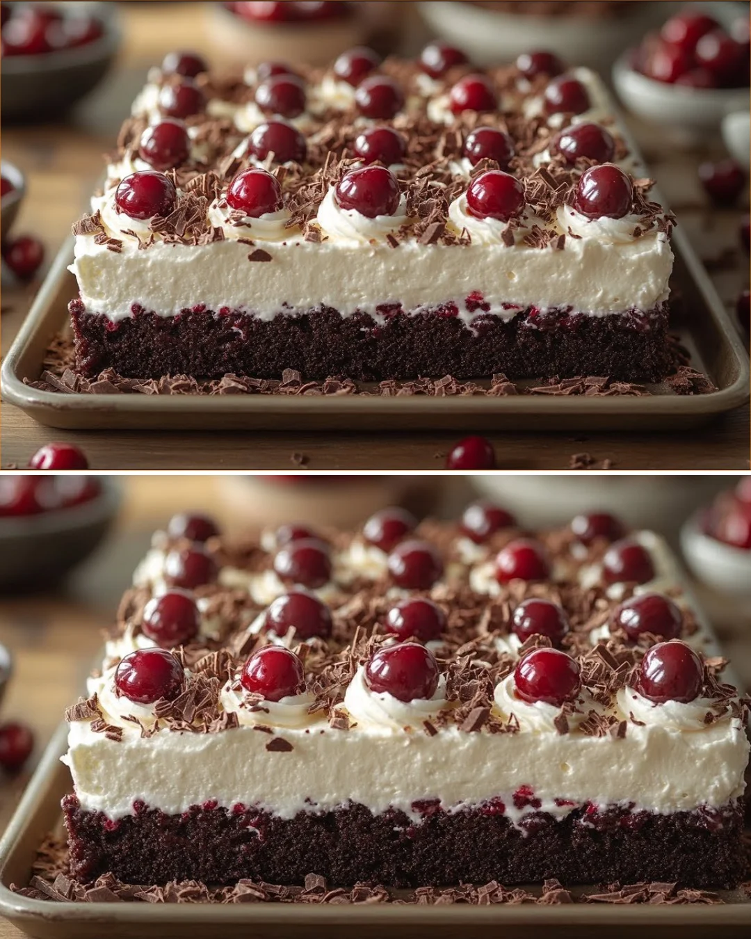Schwarzwälder Kirschtorte Blechkuchen frisch gebacken mit Kirschen und Sahne