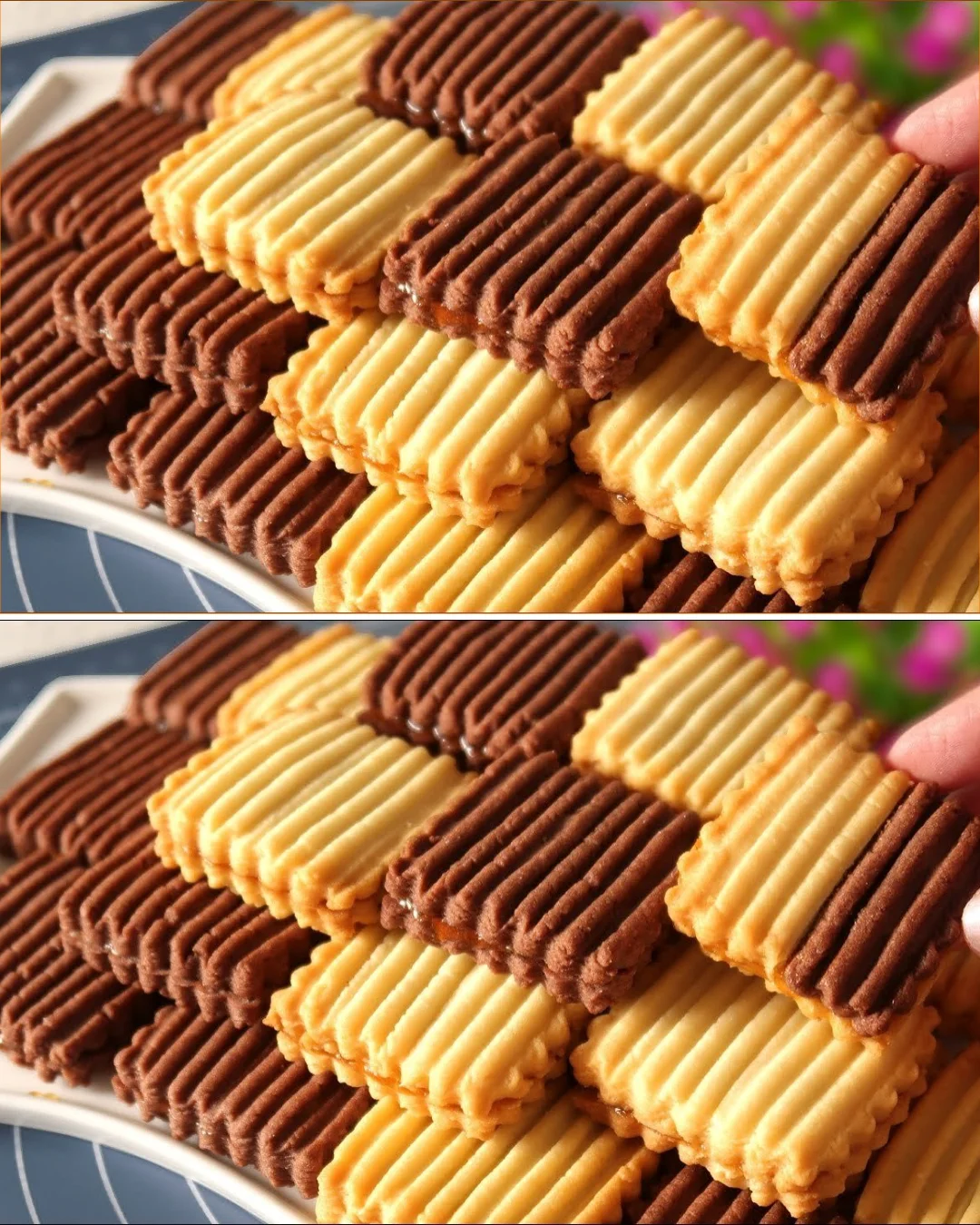 Leckere Marmelade-Kekse frisch gebacken auf einem Teller