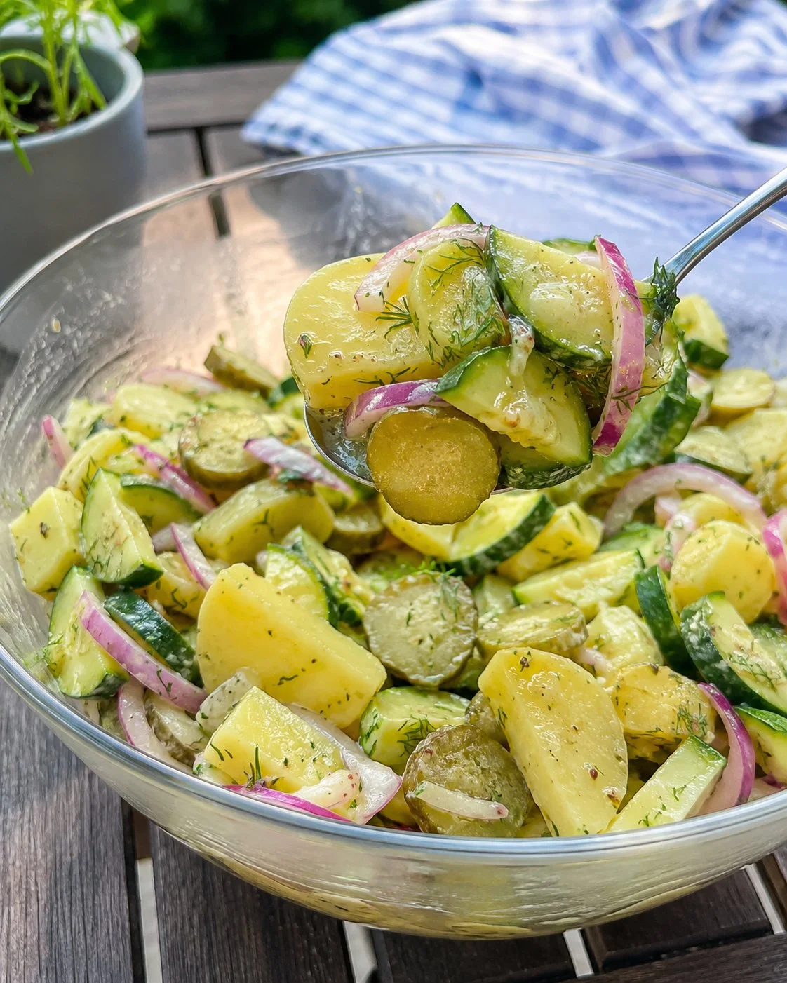 Kalter Zucchini-Kartoffel-Salat mit Senf-Dill-Dressing